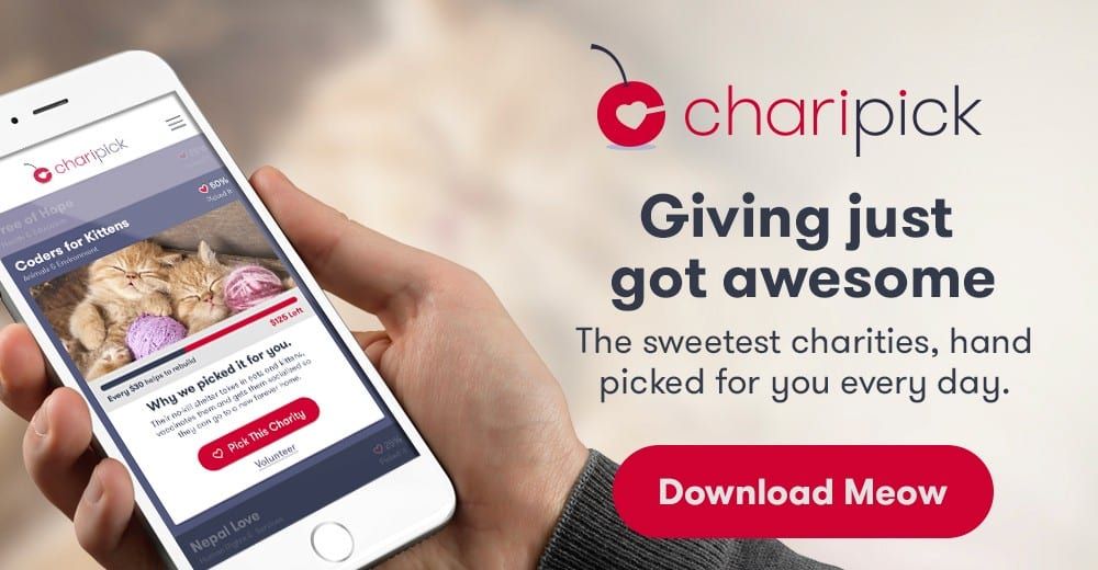 charipick-mobile-giving-platform — Launch Prep and Iterative Improvement (1 of 3)