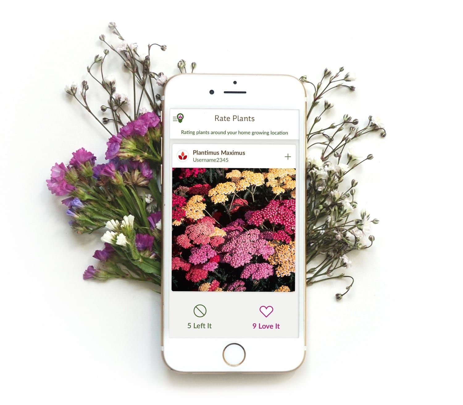 growit-social-gardening-platform — Focus on Community (2 of 3)